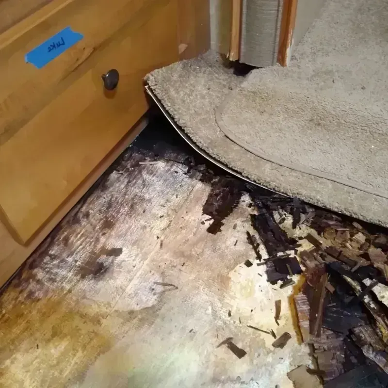 Wood Floor Water Damage in Brighton, IL